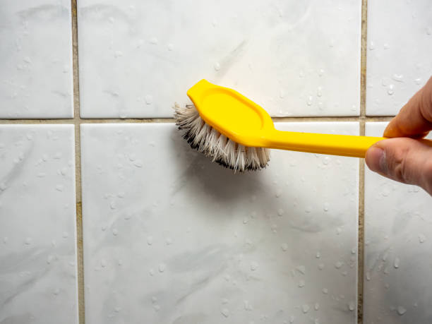 Best Water Damage Restoration  in Stony Point, MI