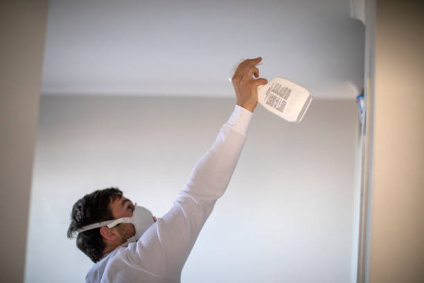 Best Local Mold Removal Service  in Stony Point, MI
