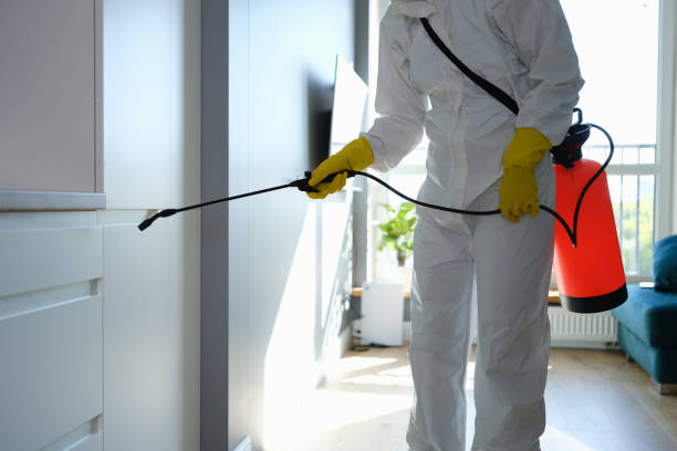 Best Emergency Mold Removal  in Stony Point, MI