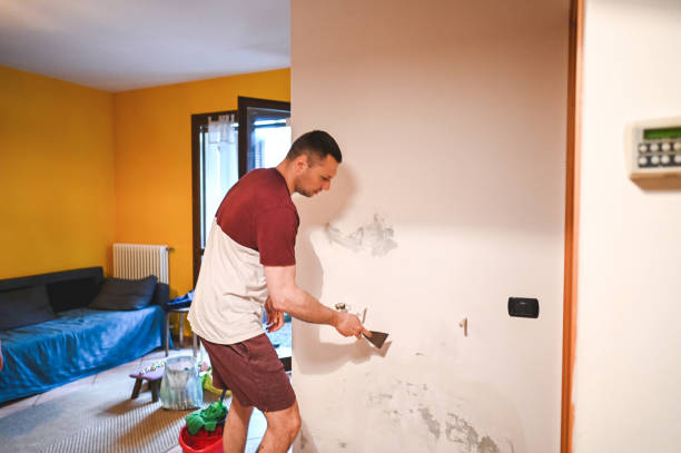Best Mold Testing  in Stony Point, MI